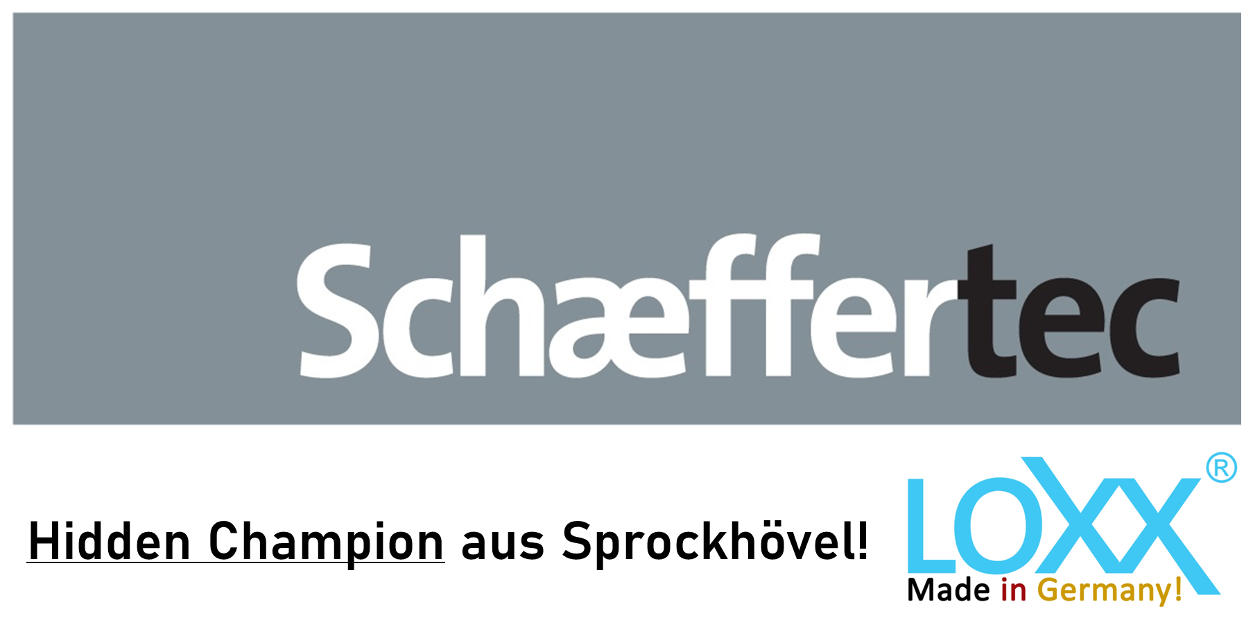 Logo_schaeffertec